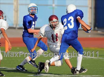 Thumbnail 3 in Bell Gardens @ San Marino photogallery.
