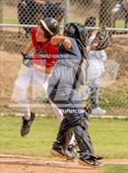 Photo from the gallery "Cathedral @ Marshall"