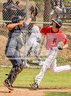 Photo from the gallery "Cathedral @ Marshall"