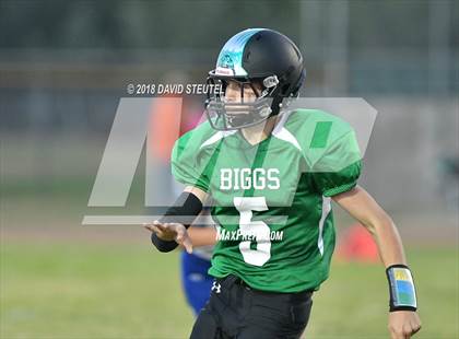 Thumbnail 3 in Fall River @ Biggs photogallery.