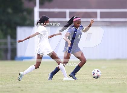 Thumbnail 1 in Thomas Dale vs Western Branch (VHSL Class 6 Region A Quarterfinal) photogallery.