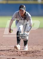 Photo from the gallery "Douglas @ Sahuarita"