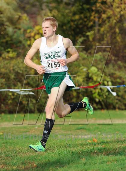 Thumbnail 1 in CIAC Cross Country Championships (Boys Open) photogallery.