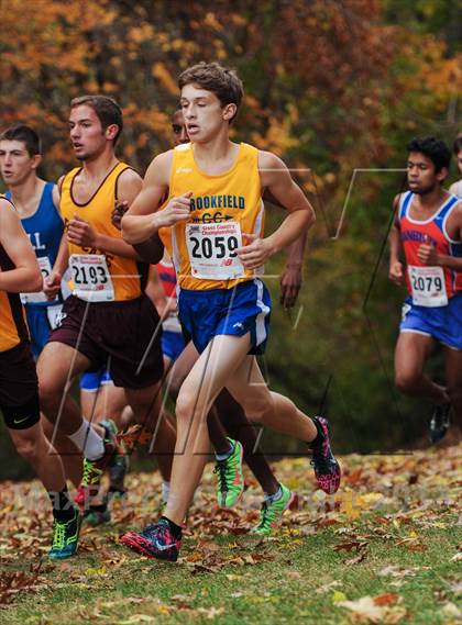 Thumbnail 2 in CIAC Cross Country Championships (Boys Open) photogallery.