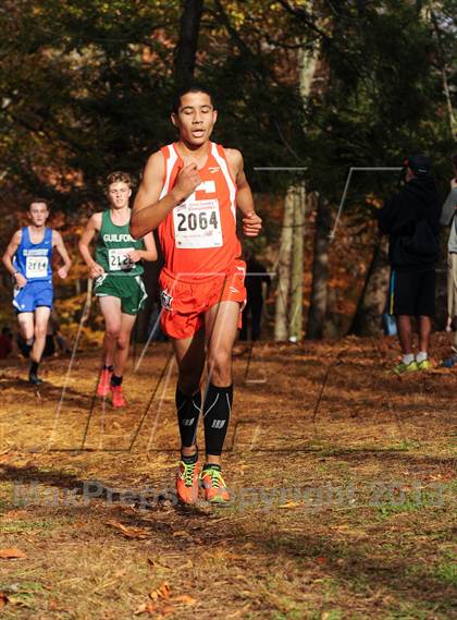 Thumbnail 3 in CIAC Cross Country Championships (Boys Open) photogallery.