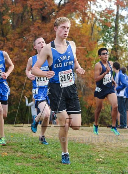 Thumbnail 1 in CIAC Cross Country Championships (Boys Open) photogallery.