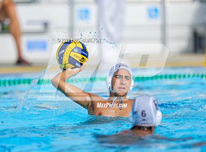 Thumbnail 3 in Crespi @ El Segundo photogallery.