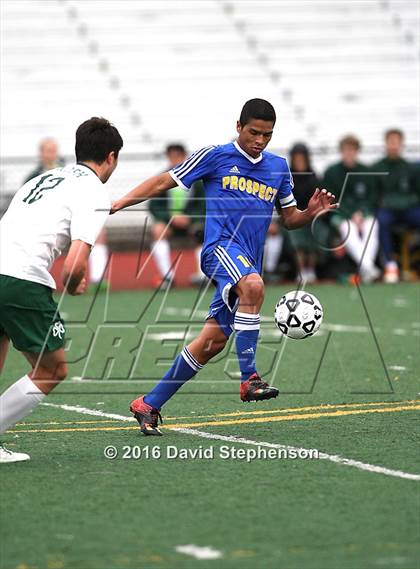 Thumbnail 2 in Prospect vs. Sacred Heart Cathedral Preparatory (CIF CCS D2 Final) photogallery.