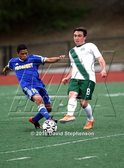 Thumbnail 2 in Prospect vs. Sacred Heart Cathedral Preparatory (CIF CCS D2 Final) photogallery.