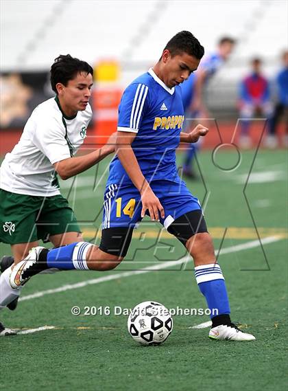 Thumbnail 3 in Prospect vs. Sacred Heart Cathedral Preparatory (CIF CCS D2 Final) photogallery.