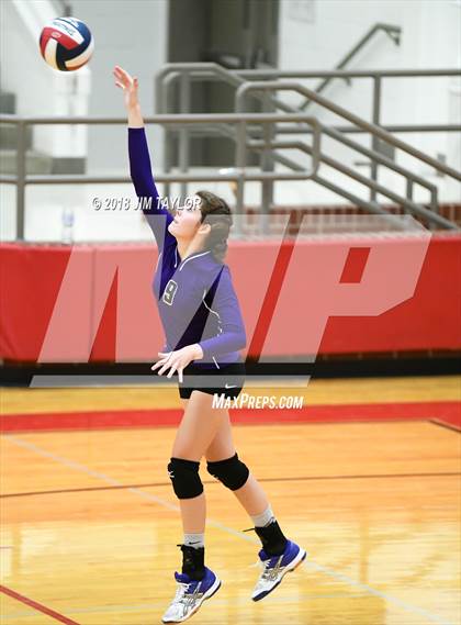 Thumbnail 2 in Tolar @ Mineral Wells photogallery.