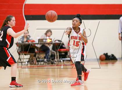 Thumbnail 3 in Mansfield Legacy @ Cedar Hill photogallery.