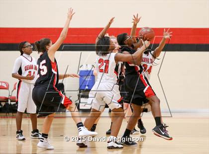 Thumbnail 2 in Mansfield Legacy @ Cedar Hill photogallery.