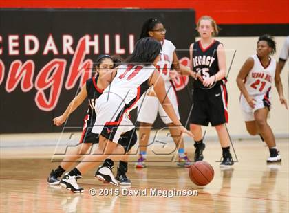 Thumbnail 2 in Mansfield Legacy @ Cedar Hill photogallery.