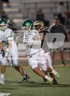 Photo from the gallery "Stagg @ St. Mary's"