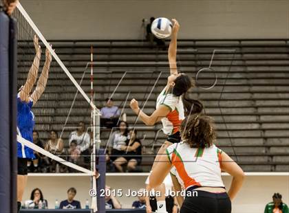 Thumbnail 2 in Lanier @ Houston photogallery.