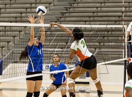 Thumbnail 2 in Lanier @ Houston photogallery.