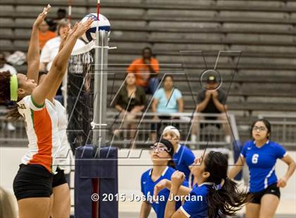 Thumbnail 3 in Lanier @ Houston photogallery.