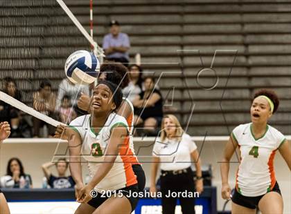 Thumbnail 3 in Lanier @ Houston photogallery.