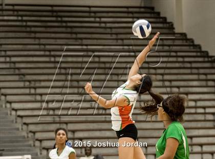Thumbnail 1 in Lanier @ Houston photogallery.