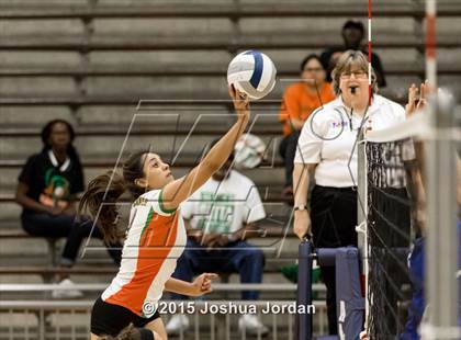 Thumbnail 3 in Lanier @ Houston photogallery.