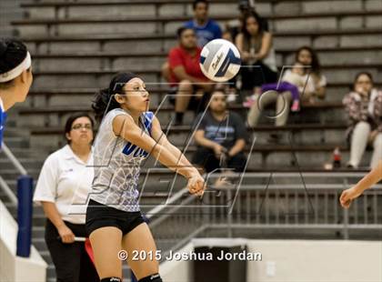 Thumbnail 2 in Lanier @ Houston photogallery.