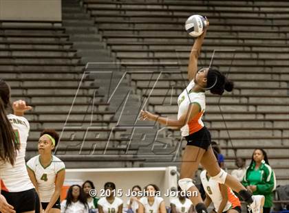 Thumbnail 3 in Lanier @ Houston photogallery.