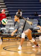Photo from the gallery "Brooke Point @ Colonial Forge"