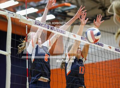 Thumbnail 1 in Lovejoy @ Wakeland photogallery.
