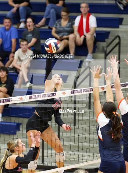 Thumbnail 3 in Lovejoy @ Wakeland photogallery.