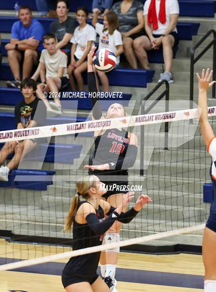 Thumbnail 1 in Lovejoy @ Wakeland photogallery.