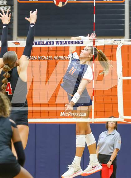 Thumbnail 1 in Lovejoy @ Wakeland photogallery.