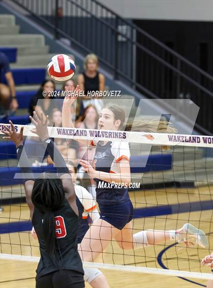 Thumbnail 3 in Lovejoy @ Wakeland photogallery.