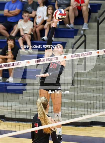 Thumbnail 3 in Lovejoy @ Wakeland photogallery.