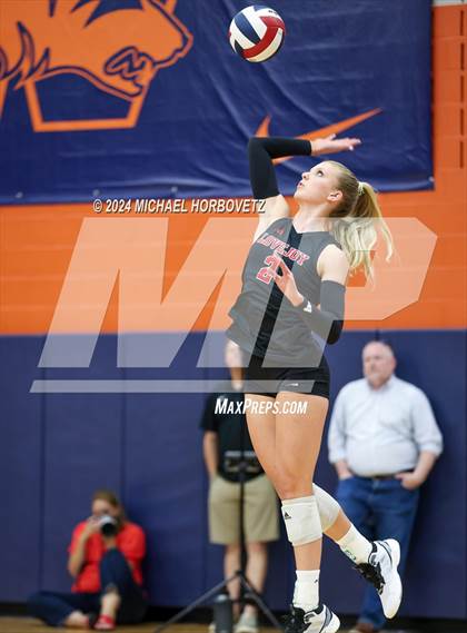 Thumbnail 1 in Lovejoy @ Wakeland photogallery.