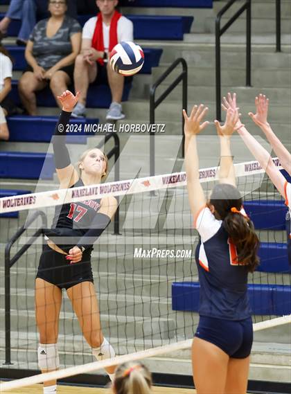 Thumbnail 2 in Lovejoy @ Wakeland photogallery.