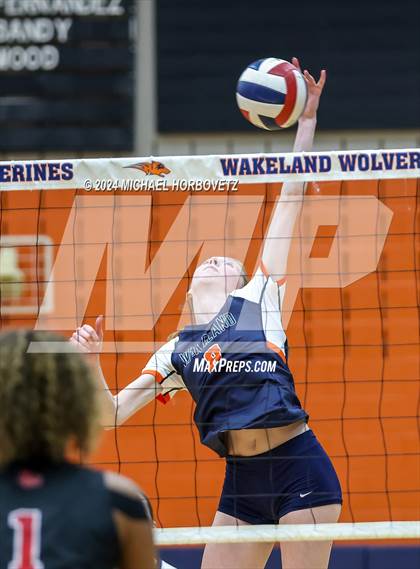 Thumbnail 3 in Lovejoy @ Wakeland photogallery.