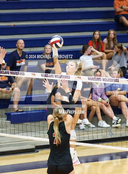Thumbnail 3 in Lovejoy @ Wakeland photogallery.