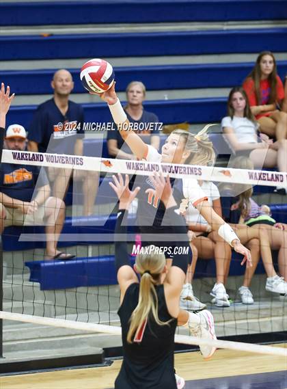 Thumbnail 3 in Lovejoy @ Wakeland photogallery.