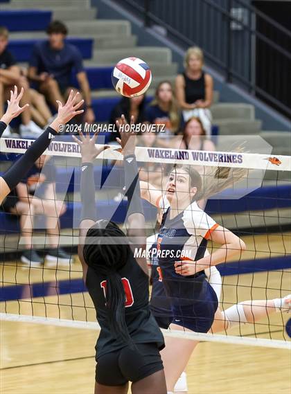 Thumbnail 1 in Lovejoy @ Wakeland photogallery.