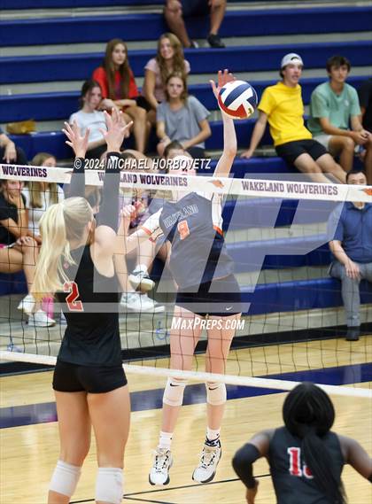 Thumbnail 2 in Lovejoy @ Wakeland photogallery.