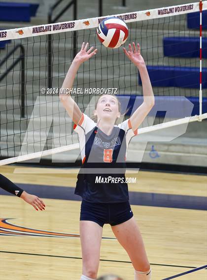 Thumbnail 2 in Lovejoy @ Wakeland photogallery.