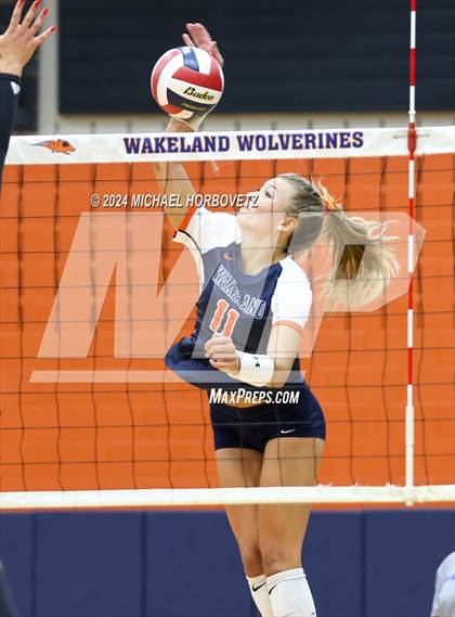 Thumbnail 2 in Lovejoy @ Wakeland photogallery.