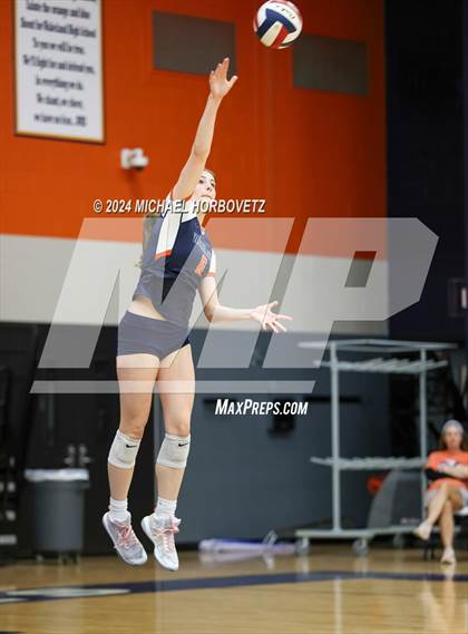 Thumbnail 1 in Lovejoy @ Wakeland photogallery.