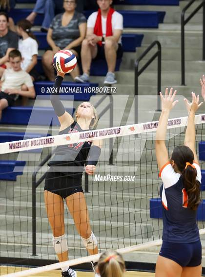 Thumbnail 1 in Lovejoy @ Wakeland photogallery.