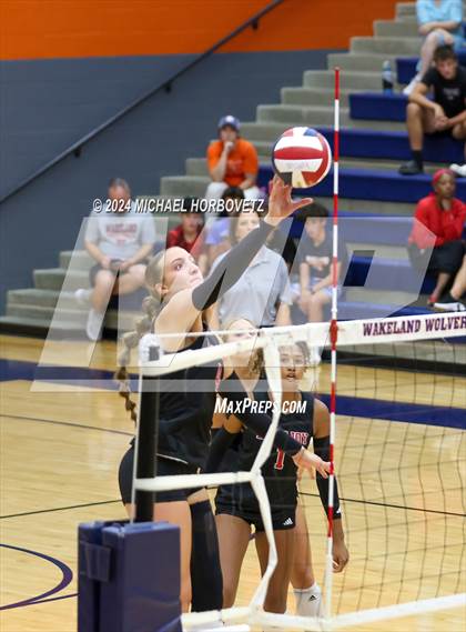 Thumbnail 3 in Lovejoy @ Wakeland photogallery.