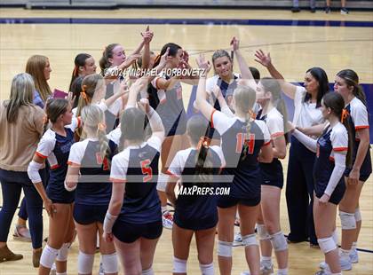 Thumbnail 2 in Lovejoy @ Wakeland photogallery.