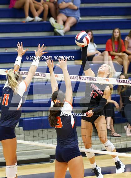 Thumbnail 2 in Lovejoy @ Wakeland photogallery.