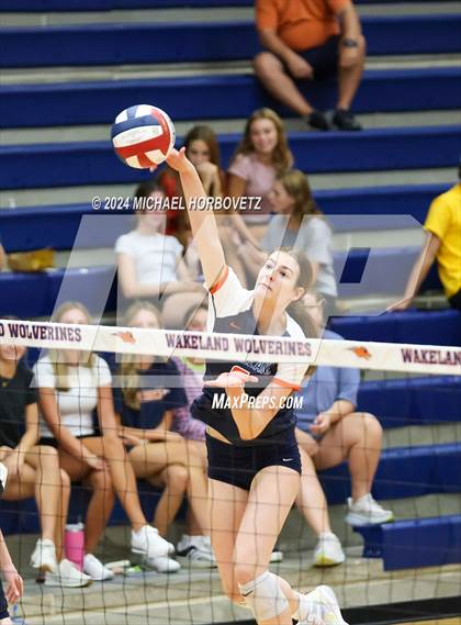 Thumbnail 1 in Lovejoy @ Wakeland photogallery.