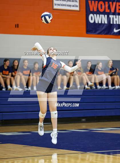 Thumbnail 2 in Lovejoy @ Wakeland photogallery.